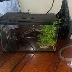 Fish Tank 5gallon Starter Set