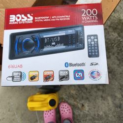 Boss Car Audio System 