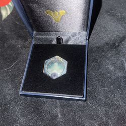 Destiny 2 Raid Pin