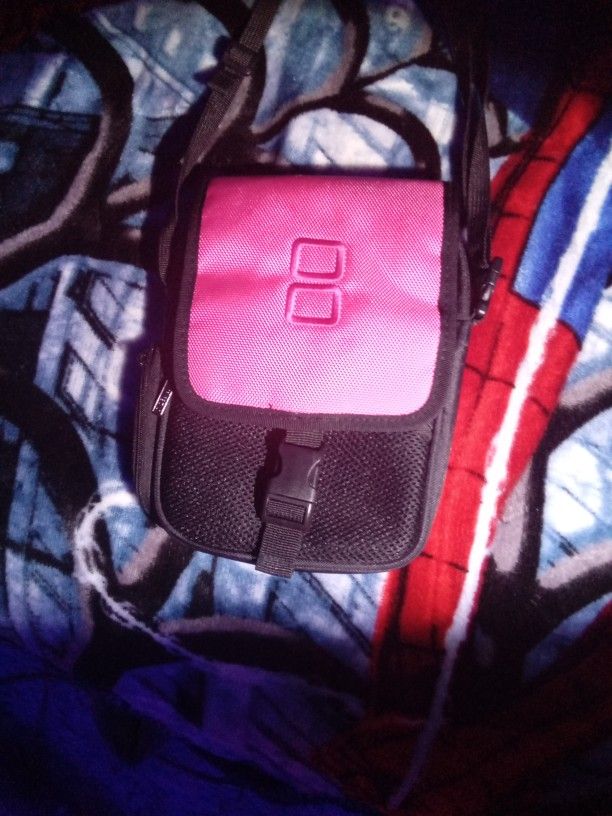 Ds Case