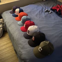 Fitted Hats