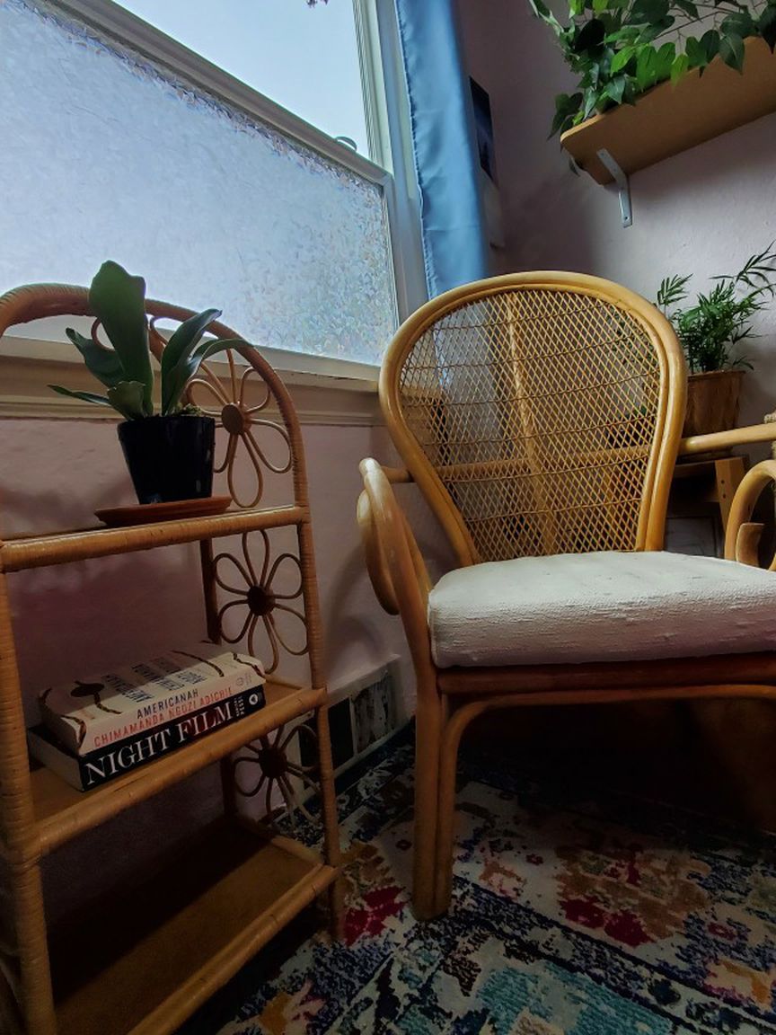 Unique Bentwood Rattan Chair