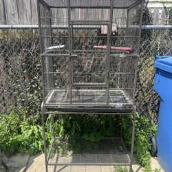 Exotic Bird cage