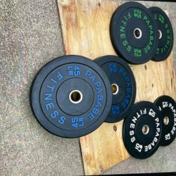 Weights/ Bumper Plates 