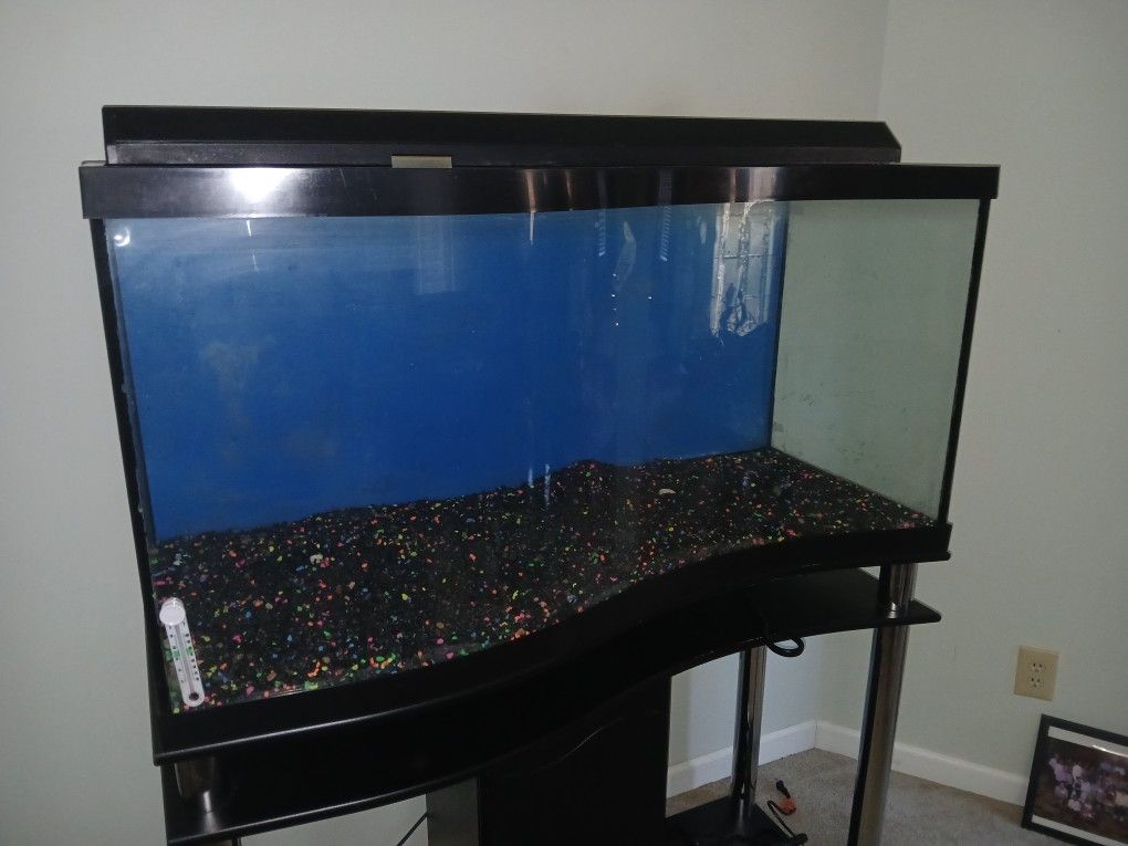 90 Gallon Wave Front Aquarium With Stand And Decorations