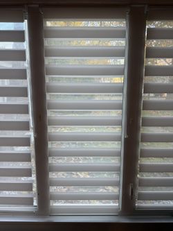 Zebra Blinds