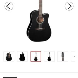 takamine 12 string
