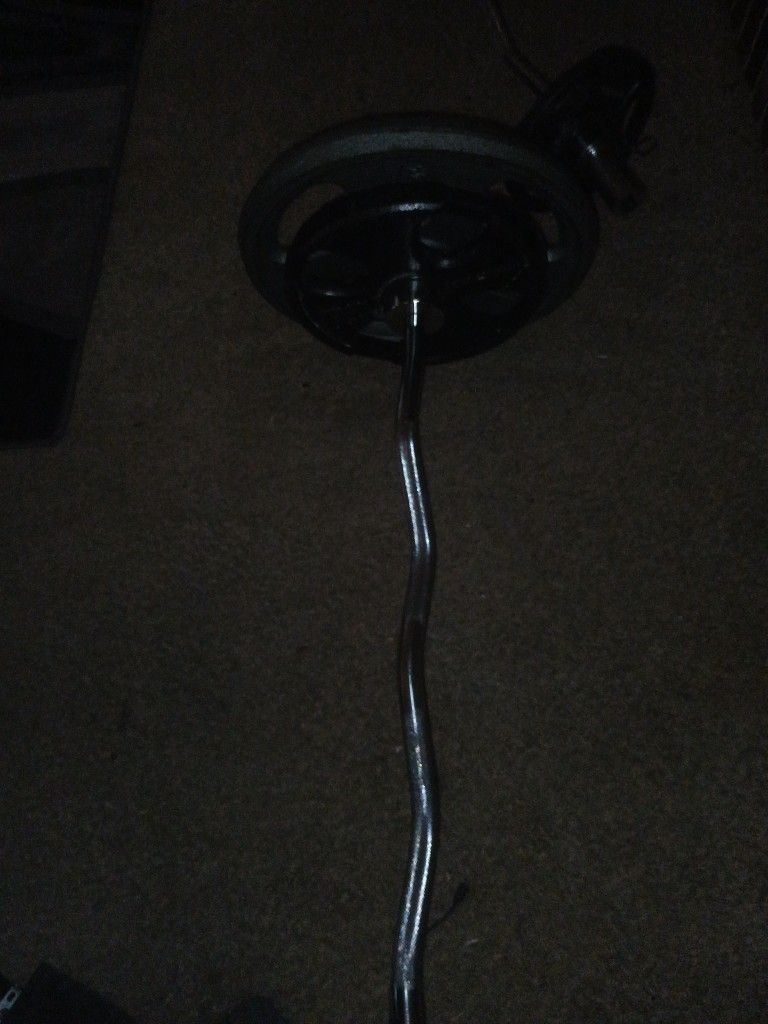 Weights And Curl Bar