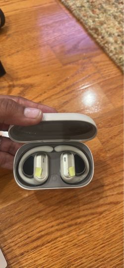 Wireless interpreter ear buds