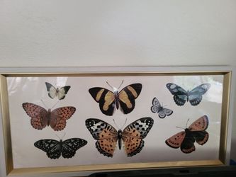 Pictures