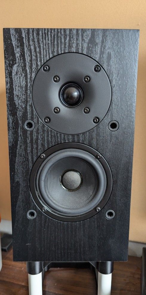 2x Pioneer BS-22 with Dennis Murphy mods (aka AAM)