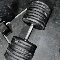 160 Lbs Dumbbells Pair