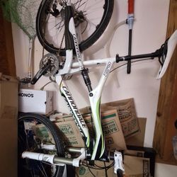 Racing Bike Extreme Sports 