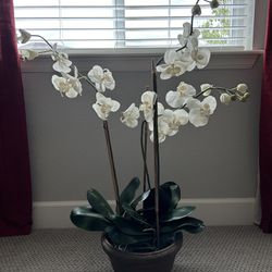 Large Potted Orchid Plant Decor
