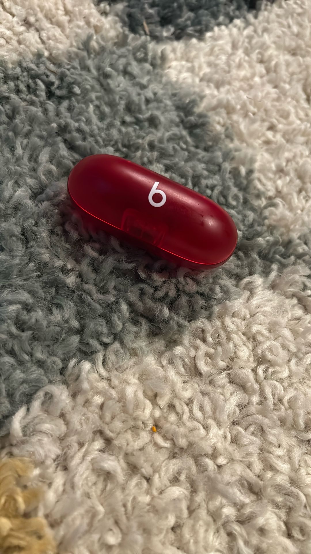 Beats Earbud Case (Alone)
