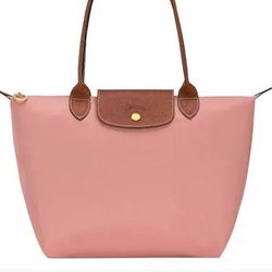 Long Champ Bag 