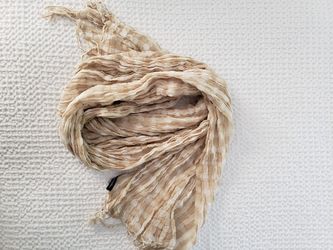 American Eagle brand