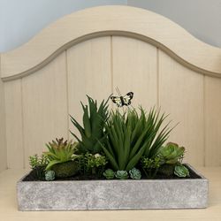 Succulent Decor 🌿