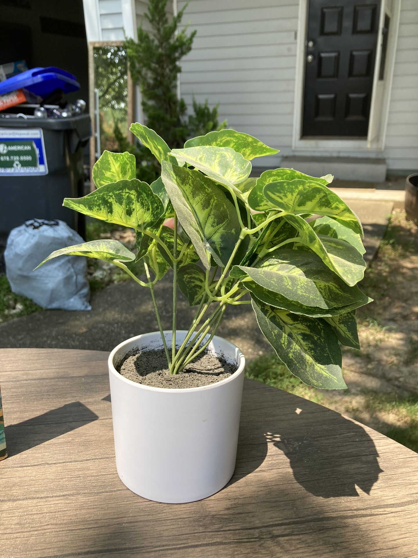 Fake Plants (2 vases, 2 pots)