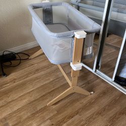 Newton bassinet 