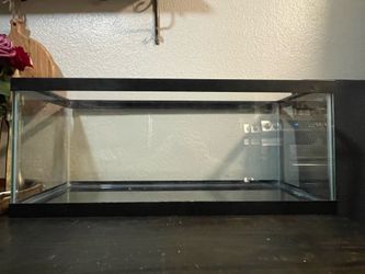20 gallon long tank