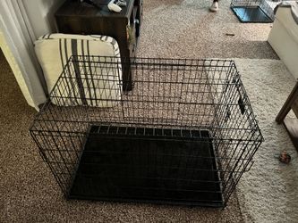 Dog Crate