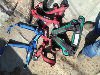 EURO Bungy harnesses