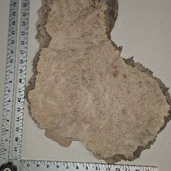 Burl Wood