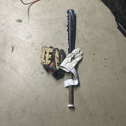 Bat, Glove, and Batting glove