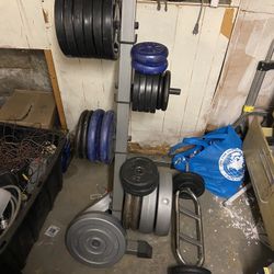Gym Equipment Weights