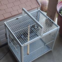 Birds Cage 