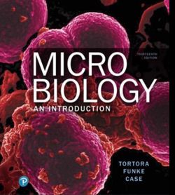 MICROBIOLOGY