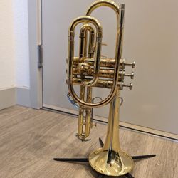 Cornet | Bach CR301 Bb