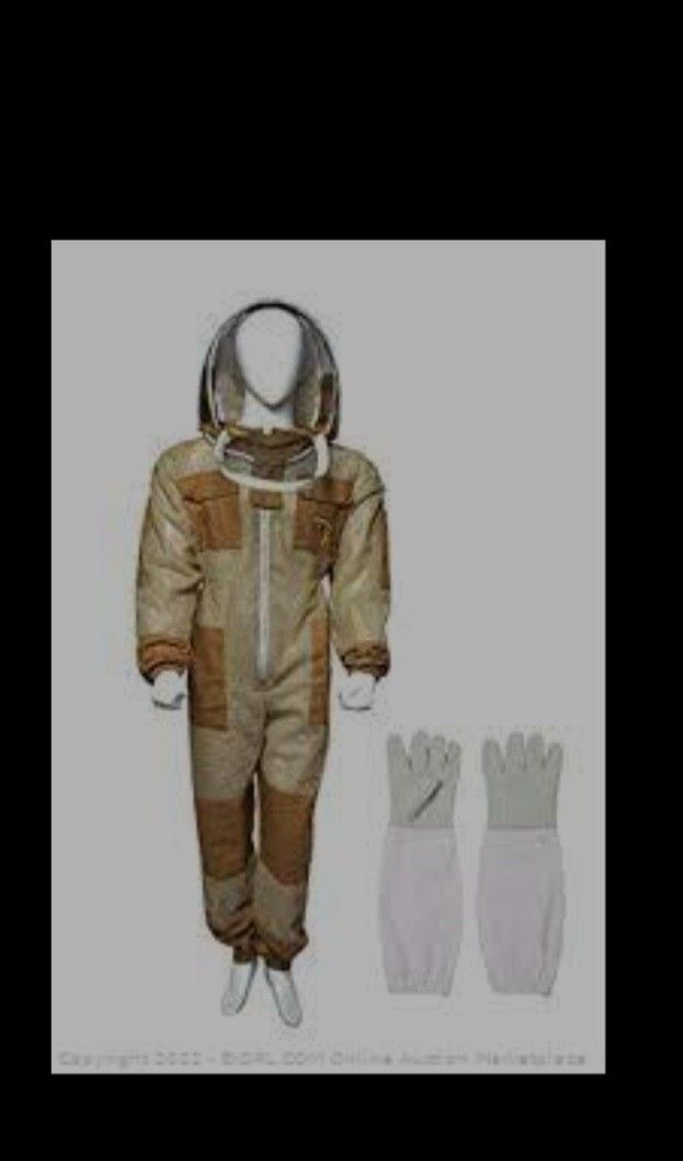 Bee Suit