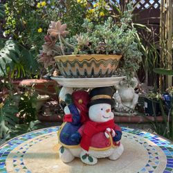 Succulent In Nice Pot And Clay Stand 