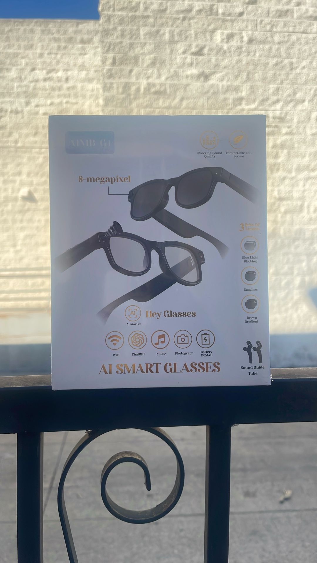 AI Smart Glasses