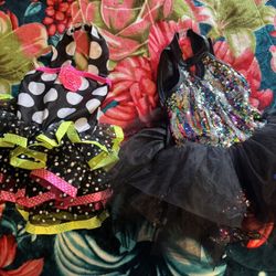Little Girls Ballet Costumes 
