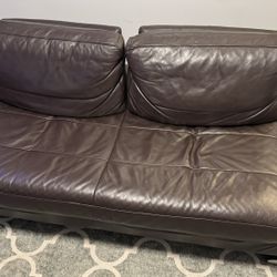 Full Grain Leather Brown Futon Sofa