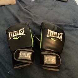 Boxing Gloves 8 Oz 