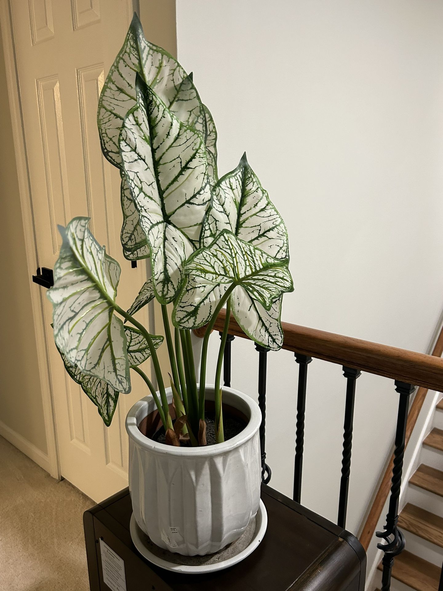 Pike nursery, Life Like Plant