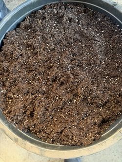 Potting soil