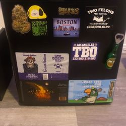 Mini Fridge