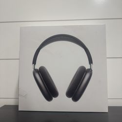 Airpod Maxes (authentic)