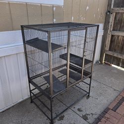 Bird Cage