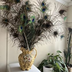 Beacoock Feathers 