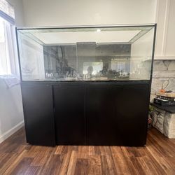 FREE 150 GLASS STARFIRE TANK 