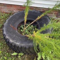 Large CrossFit Tire