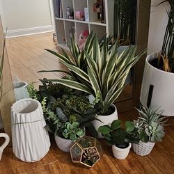 Fake Indoor Plants