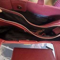 Tommy Hilfiger Purse And Wallet 