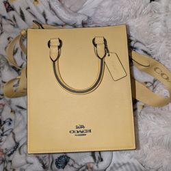 COACH DYLAN TOTE